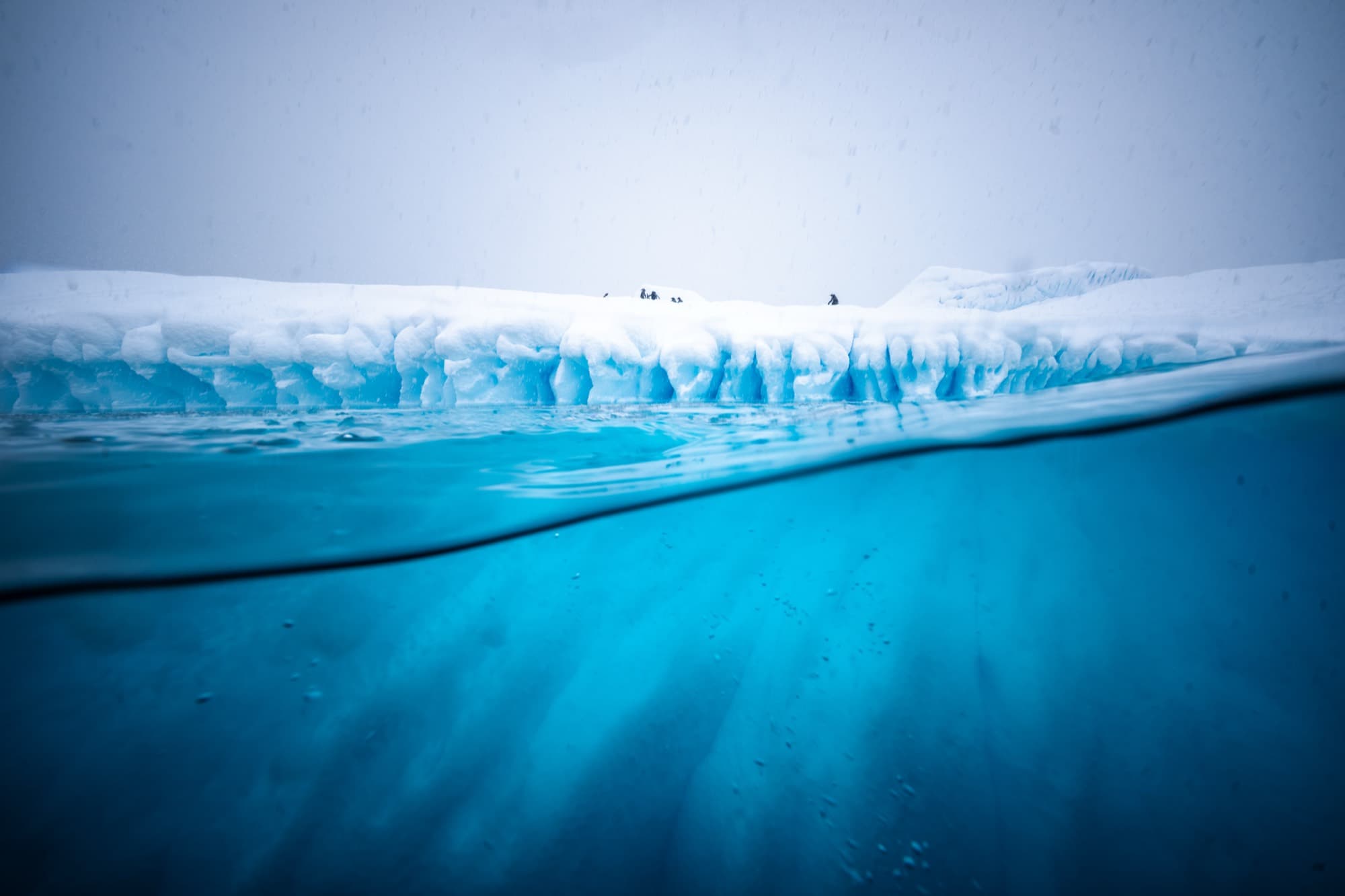 Iceberg above and below the waterline